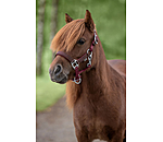 Foal and Shetland Pony Headcollar Twinkle