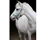 Foal and Shetland Pony Headcollar Twinkle