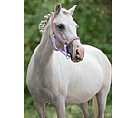 Foal and Shetland Pony Headcollar Twinkle