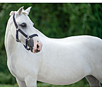 Foal and Shetland Pony Headcollar Twinkle