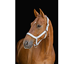 Headcollar Anatomical Relaxation