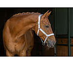 Headcollar Anatomical Relaxation