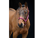 Headcollar Anatomical Relaxation