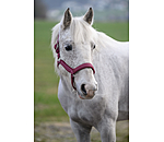 Headcollar Anatomical Relaxation