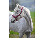 Headcollar Anatomical Relaxation