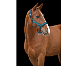 Headcollar Anatomical Relaxation