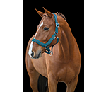 Headcollar Anatomical Relaxation