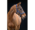 Headcollar Anatomical Relaxation