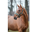 Headcollar Changeable