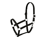 Headcollar Changeable