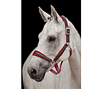 Headcollar Velvet Twinkle