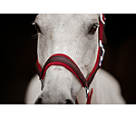 Headcollar Velvet Twinkle