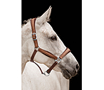 Headcollar Velvet Twinkle