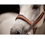 Headcollar Velvet Twinkle