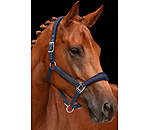 Headcollar Velvet Twinkle