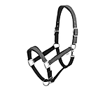 Headcollar Velvet Twinkle