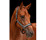 Headcollar Velvet Twinkle