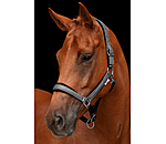 Headcollar Velvet Twinkle