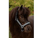 Headcollar Velvet Twinkle