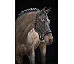 Headcollar Velvet Twinkle