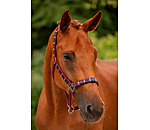 Headcollar Tricolour