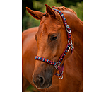 Headcollar Tricolour