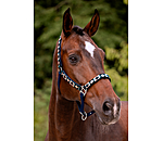 Headcollar Tricolour