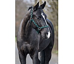 Headcollar Tricolour