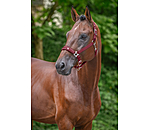 Headcollar Cloud