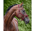 Headcollar Cloud