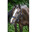 Headcollar Cloud