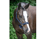 Headcollar Cloud