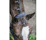 Headcollar Cloud