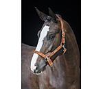 Headcollar Velvet