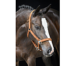 Headcollar Velvet