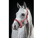 Headcollar Velvet