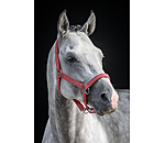 Headcollar Velvet