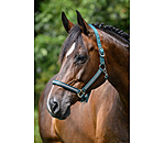 Headcollar Blaire