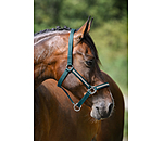 Headcollar Blaire