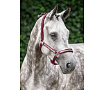 Headcollar Blaire