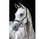 Leather Headcollar Anatomical