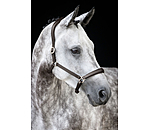 Leather Headcollar Anatomical