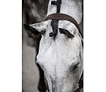 Leather Headcollar Anatomical