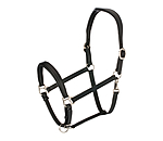Leather Headcollar Anatomical