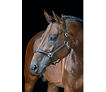 Leather Headcollar Anatomical