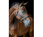 Leather Headcollar Anatomical