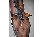 Leather Headcollar Anatomical