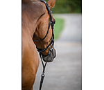 Lead Rope Safety