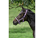 Foal- and Shetland Pony Headcollar Blaire