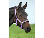 Foal- and Shetland Pony Headcollar Blaire